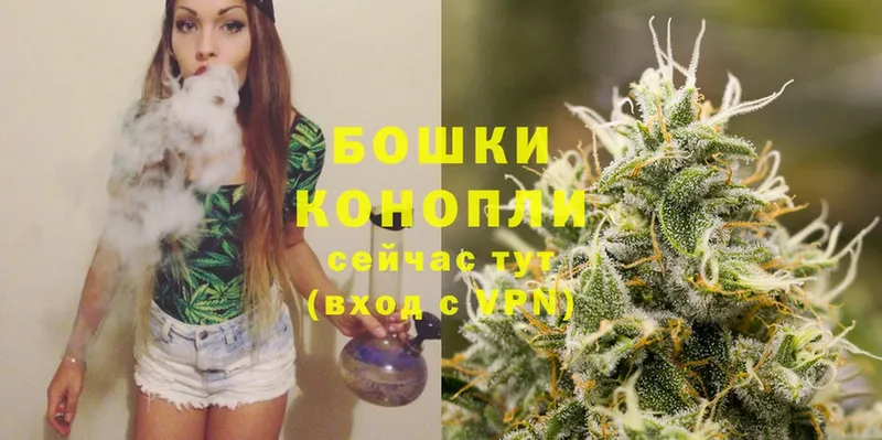 Конопля SATIVA & INDICA  сколько стоит  Кореновск 